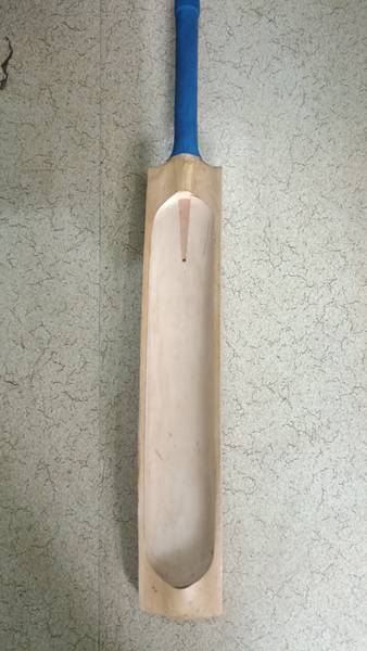 DSC HITMAN Sc 700 Kashmir Willow Cricket Bat