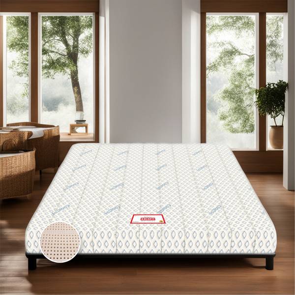 Coirfit hot sale rollaway bed