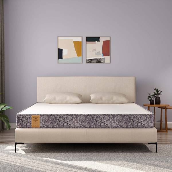 SPRINGWEL TrueLove Pro 6 inch Double Pocket Spring Mattress Price History