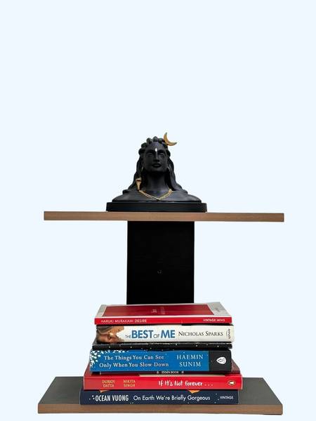 Laxmi Timber Store Engineered Wood Open Book Shelf