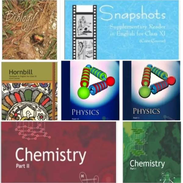 ncert class 11 pcm book set 2024