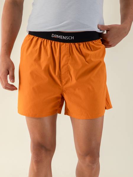 Damensch Solid Men Boxer