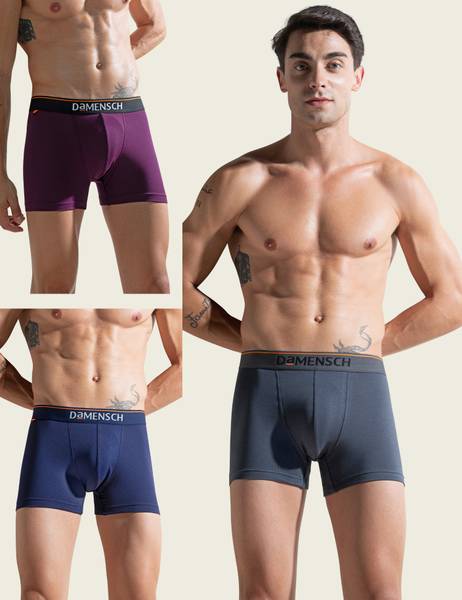 Damensch Men Deo-Cotton Deodorizing Anti-Bacterial Brief