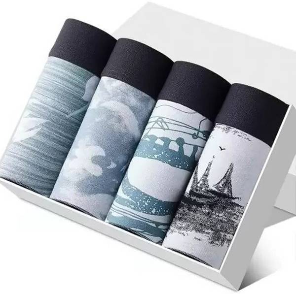 Cavendres Men Brief
