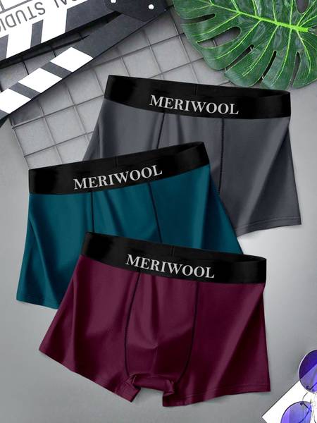 MERIWOOL Men Brief
