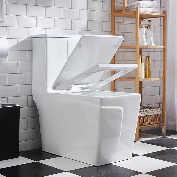 Glexero Premium Quality Rimless Floor Mounted European Toilet Seat. Rimless Toilet Commode. Western Commode