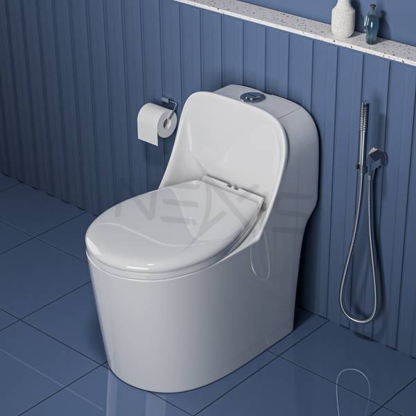Flipkart SmartBuy Rimless 5D Commode for Toilet/One Piece Western Toilet/Commode (9 inch) S-Trap 9009 Western Commode
