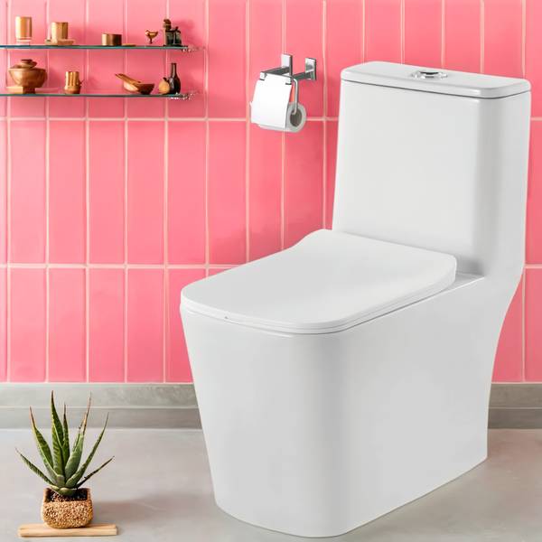 CARA MARK Floor Mounted Western Toilet with soft close sheet cover With ...