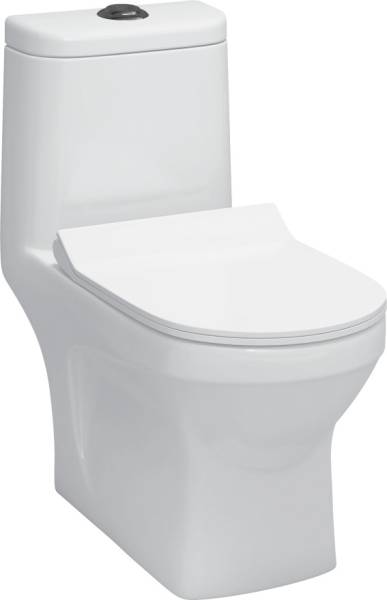 Bleu Bathware Roger / S Trap 22cm Floor Mount/ Heavy Washdown Silent Flush/ EWC/ One Piece Toilet/ Western Commode