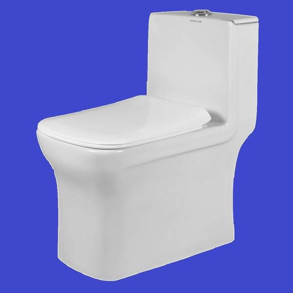 Vardhman Ceramics One Piece Western Toilet Water Closet EWC S Trap