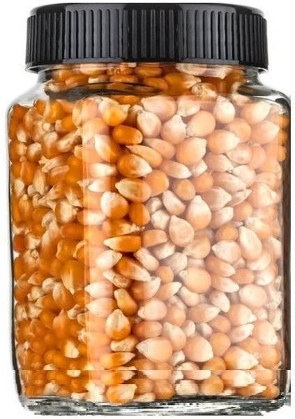 Troxer Glass Grocery Container - 300 ml