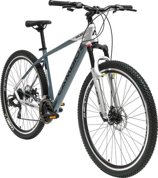 Urban terrain cycle 29t 2025