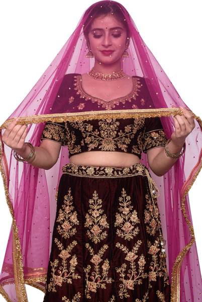 ROOTNICKZ Net Embroidered Women Dupatta