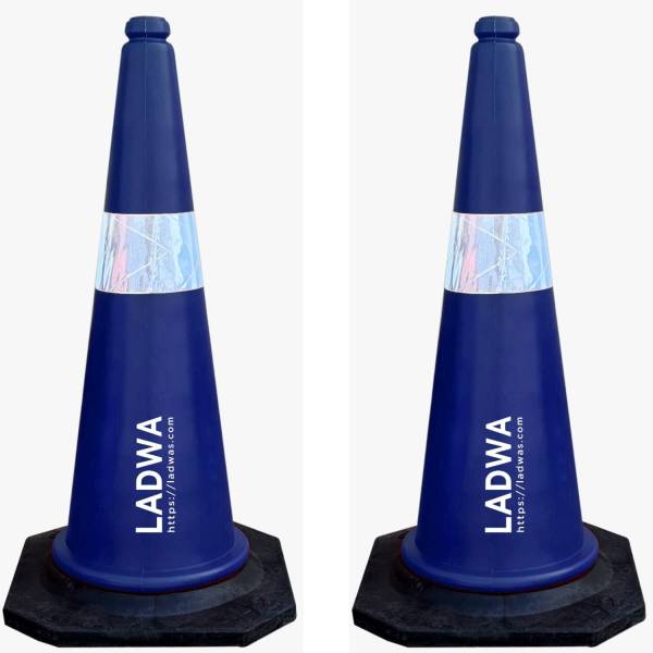 Ladwa Cone Pack of 2
