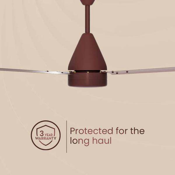 Crompton EN COOKIE 48 5S RM 5 Star 1200 mm 3 Blade Ceiling Fan