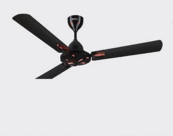 BAJAJ Novella smoked brown 1200mm 1200 mm 3 Blade Ceiling Fan