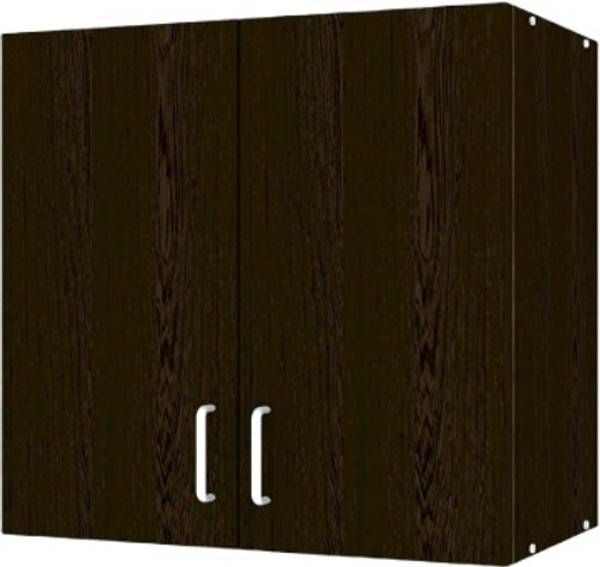 SPECIALITY PANELS 2 Doors Modular Wall Cabinet with Termites Resistance Engineered Wood Hanging Filing Cabinet