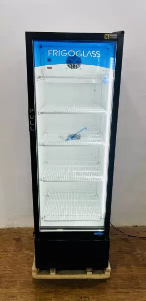 FRIGOGLASS 369 L Single Door Standard Deep Freezer
