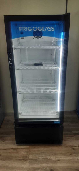 FRIGOGLASS 294 L Single Door Upright Freezer
