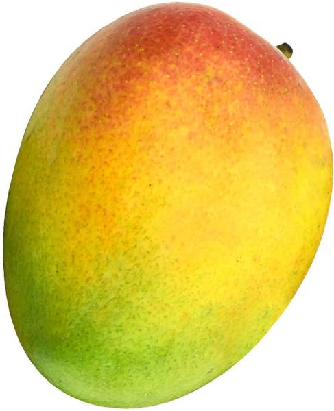 Mango Sindhura