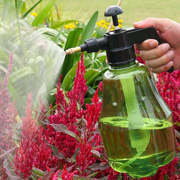 Water spray deals bottle for plants