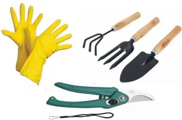 Neki garden tool kit with garden cutter and Reusable Rubber Gloves Garden Tool Kit