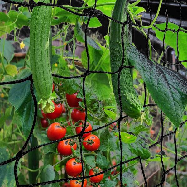 grenfel Plant Climbing Net & 15Ft x 6 Ft Creeper Support Gardening Netting Black Colour Garden Tool Kit