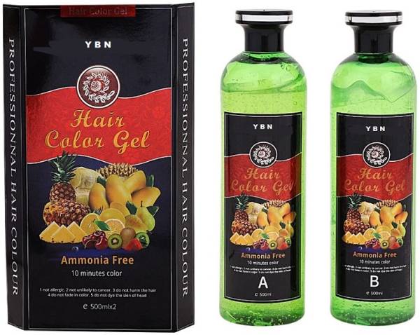 YBN Fruit Vinegar Black Gel Color Professions Hair Colour, 500mlx2 , BLACK