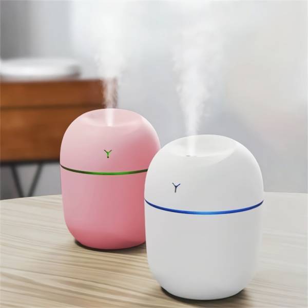Roxor Room Egg shaped mini built-in led aroma diffuser and Humidifier