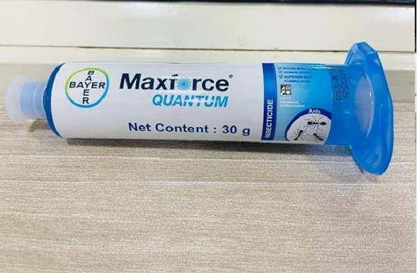 maxforce Ant Gel