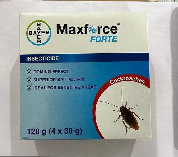 maxforce Forte Box