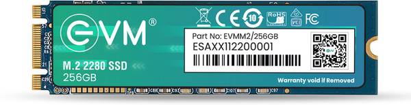 EVM M.2 (2280) SATA 2 TB All in One PC's, Laptop, Desktop Black SATA III Internal Solid State Drive (SSD) (256 GB)