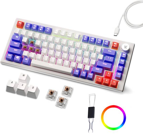 Kreo Hive RGB 75% Wired Mechanical Gaming Keyboard, Hot Swappable, Anti-ghosting Wired USB Gaming Keyboard