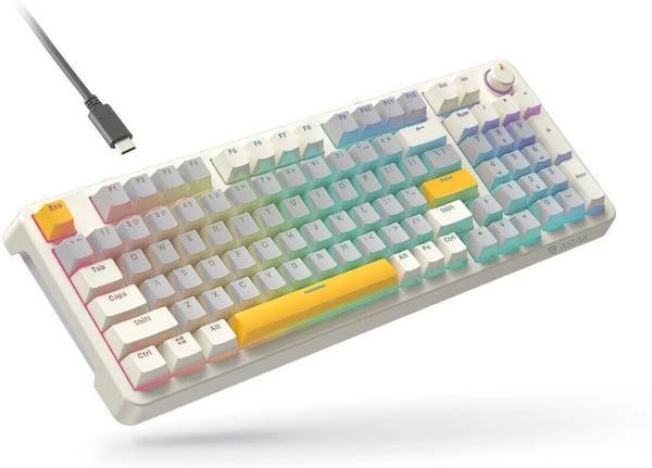 RAEGR MechGear X100 Mechanical Gaming Keyboard, 98 Keys , Rainbow Backlit Wired USB Standard Gaming Keyboard Compatible with Laptop, Desktop