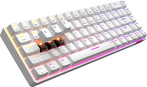 Portronics Hydra 10 /Bluetooth 5.0 + 2.4 GHz, RGB, Type C Charging, Brown Switch,Mechanical Bluetooth, Wireless Gaming Keyboard