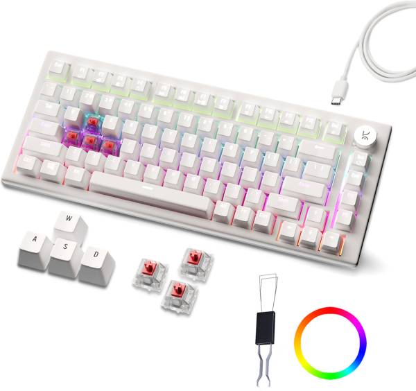 Kreo Hive RGB 75% Wired Mechanical Gaming Keyboard, Hot Swappable, Anti-ghosting Wired USB Gaming Keyboard