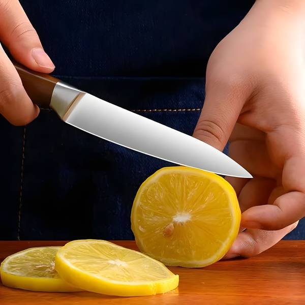 Wizbiz 1 Pc Stainless Steel Knife High Carbon German Sharp Butcher|Chopper|Paring|Peeling|Vegetable Kitchen Knife