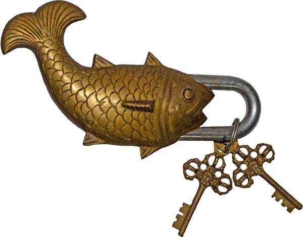 NATHAM brass fish lock Lock