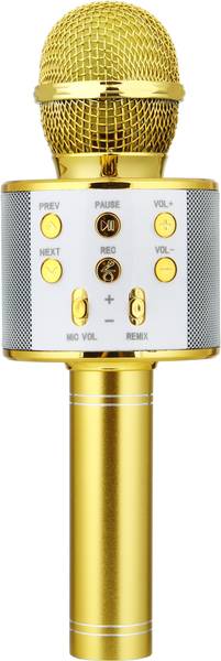 MZ MIC12 (KARAOKE MIC WITH SPEAKER) Rechargeable FM Radio Voice Changer Microphone