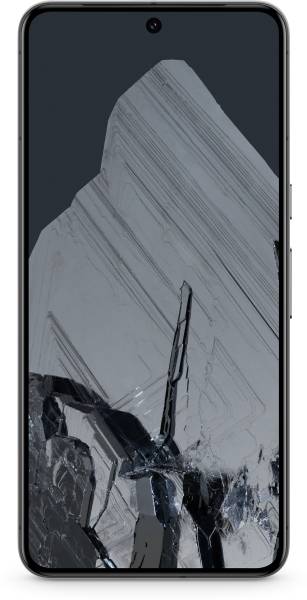 Google Pixel 8 Pro (Obsidian, 256 GB)
