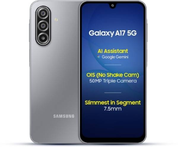 Samsung Galaxy A17 5G (Gray, 256 GB)