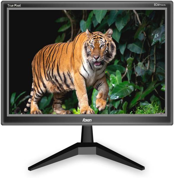 rionix Foxin 49.53 cm (19.5 inch) HD LED Backlit TN Panel Monitor (Foxin 19.5 inch HDMI)