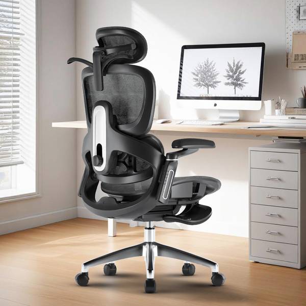 Drogo Ergonomic Office Chair for Work from Home Computer Chair 6D Armrest, 4D Headrest Mesh Office Executive Chair