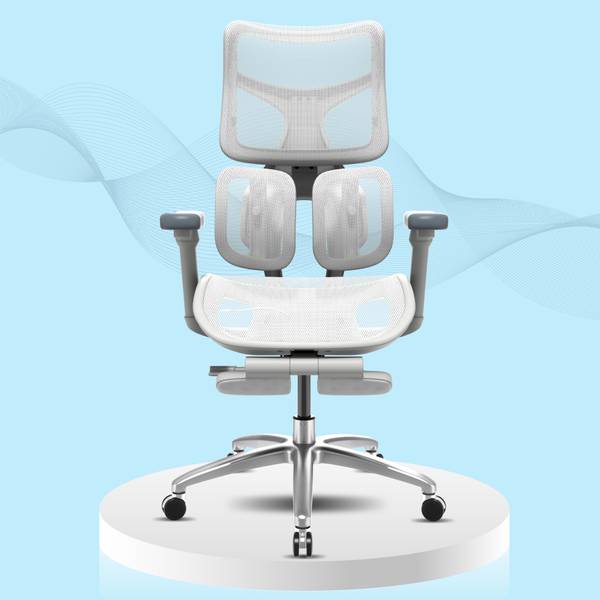 ErgoSmart Elite Mesh Office Executive Chair Price History
