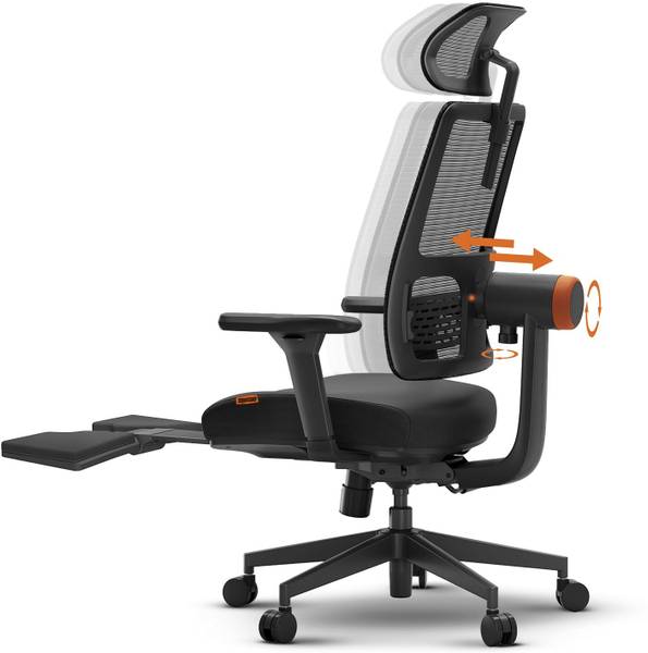 Drogo Ergonomic Office Chair for Work from Home Computer Chair Adaptive Lumbar Support Mesh Office Executive Chair