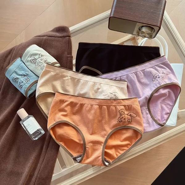 ISHUVILLA Women Bikini Multicolor Panty