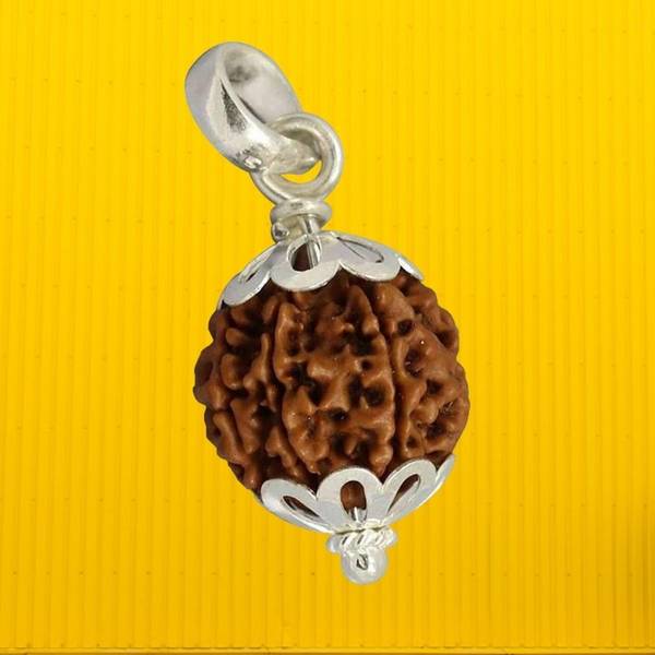 om rudraksha 3 mukhi rudraksha Wood