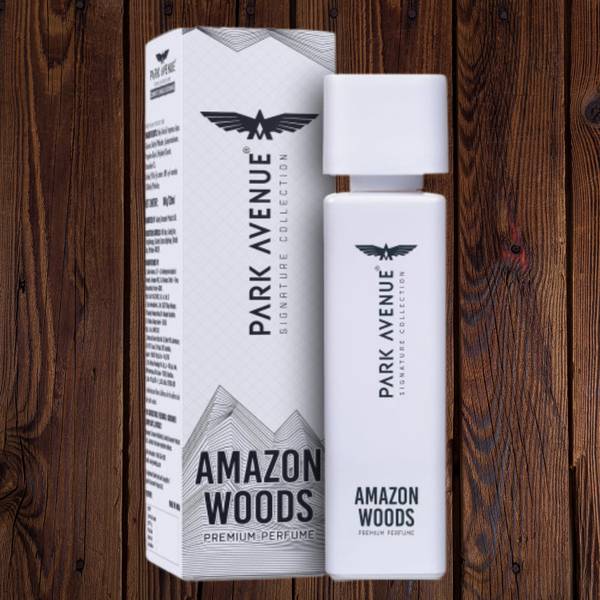 PARK AVENUE perfume for men 100 ml, pack of 1 Eau de Parfum - 100 ml