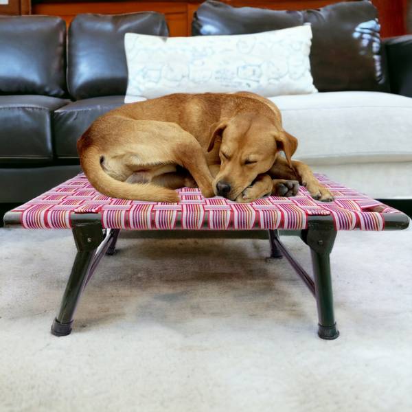 AAURAS DOG PET BED LEG FOLD STRONG QUALITY SIZE(36X24X12INCH) L Pet Bed