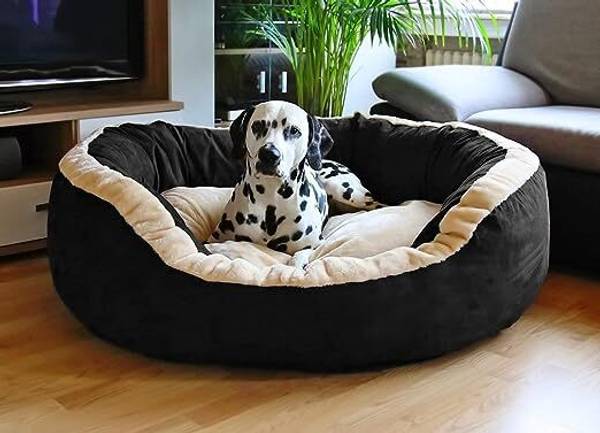 Little Supertails Fiber Filled Round Shape Velvet Fabric Sofa Shape Dog,Cat Pet Bed M Pet Bed